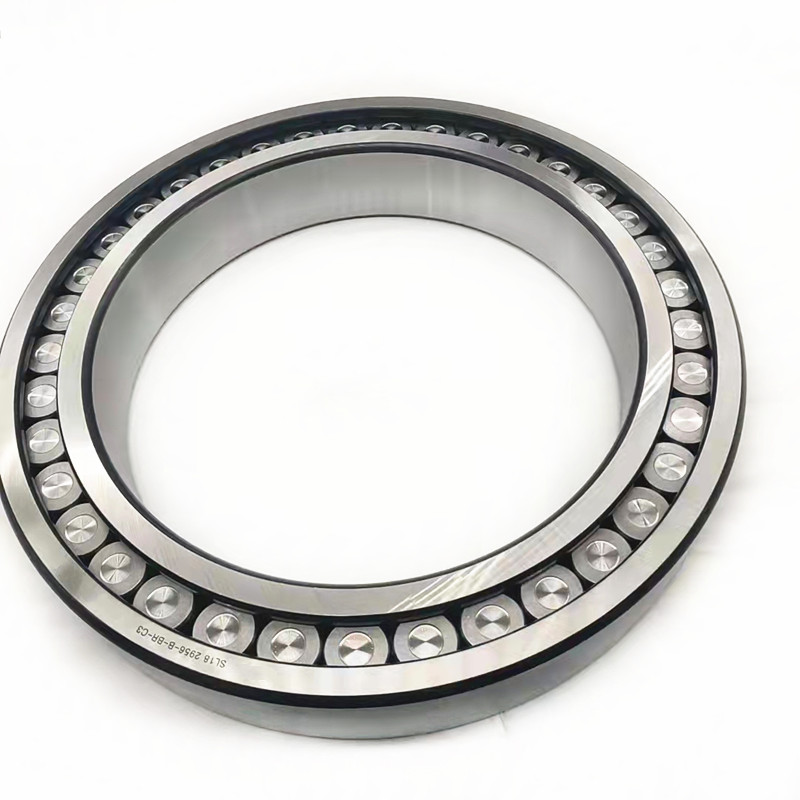 hot sale full complement cylindrical roller bearing SL 182956 182956 B BR C3 single row cylindrical roller bearing